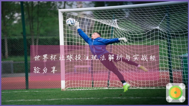 世界杯让球投注玩法解析与实战经验分享