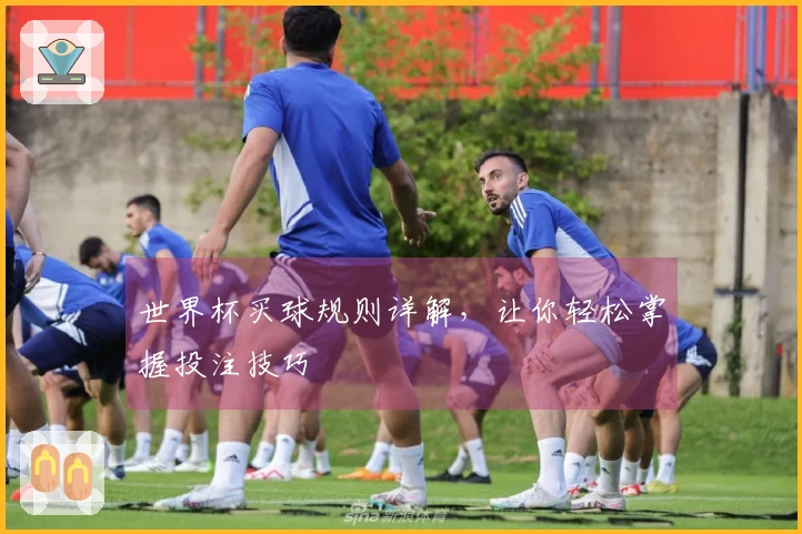 世界杯买球规则详解，让你轻松掌握投注技巧