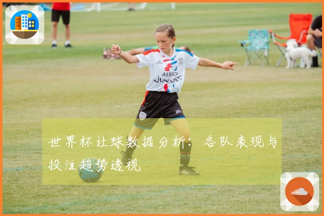 世界杯让球数据分析：各队表现与投注趋势透视
