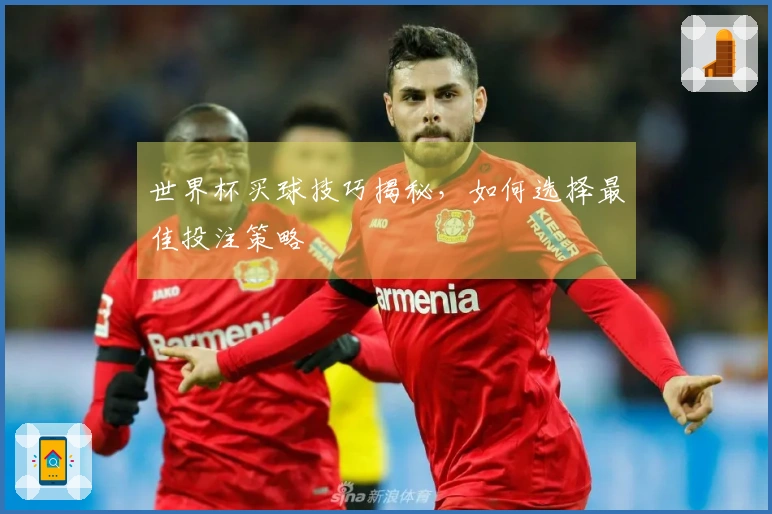 世界杯买球技巧揭秘，如何选择最佳投注策略