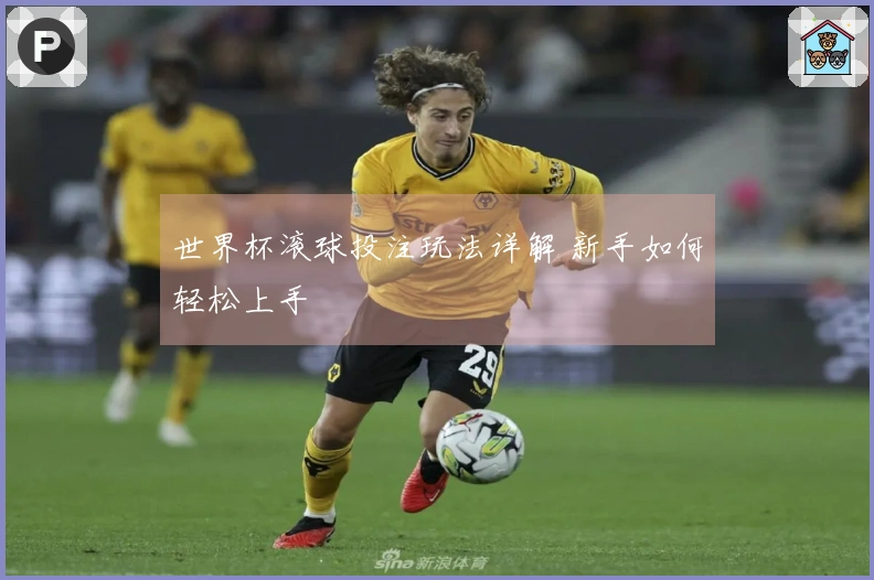 世界杯滚球投注玩法详解 新手如何轻松上手