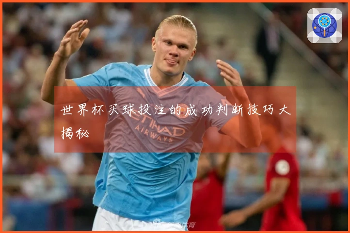 世界杯买球投注的成功判断技巧大揭秘