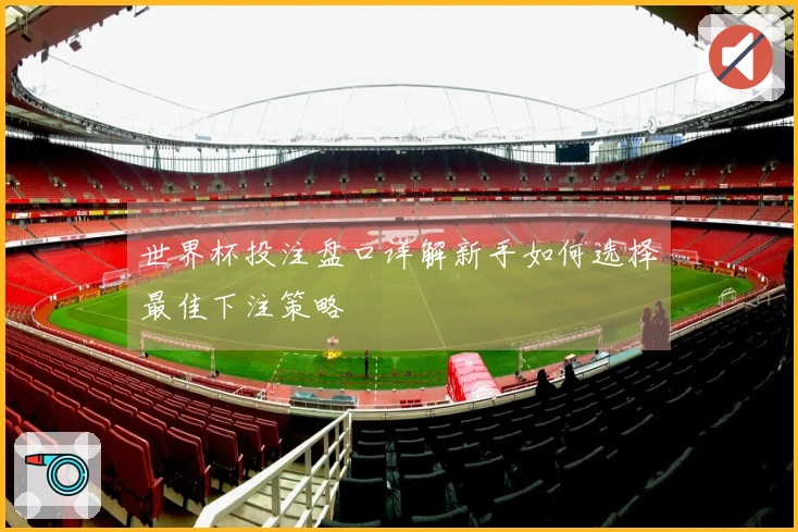 世界杯投注盘口详解新手如何选择最佳下注策略