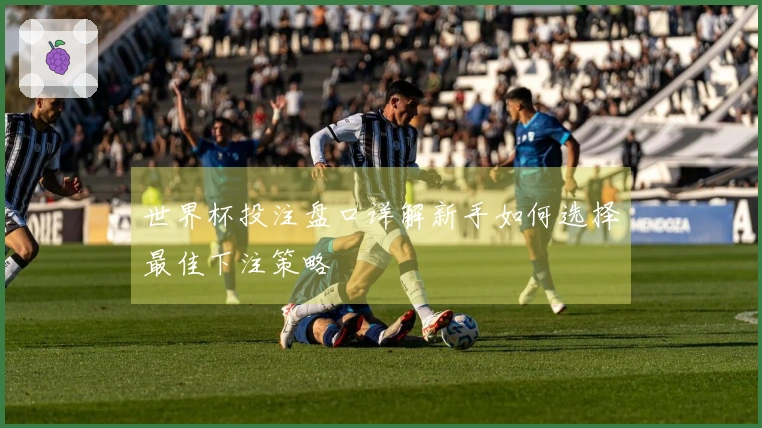 世界杯投注盘口详解新手如何选择最佳下注策略